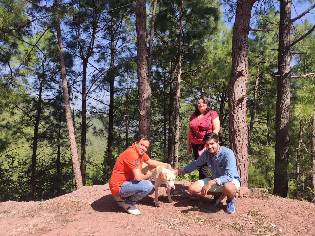 The Asgard Kasauli Exterior foto